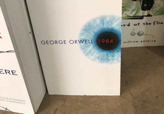 1984 summary