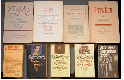 The Collapse of a Heart novel