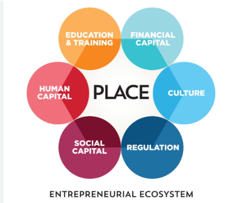 ecosystem definition