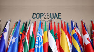 cop28 meaning