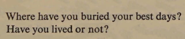 white nights quotes