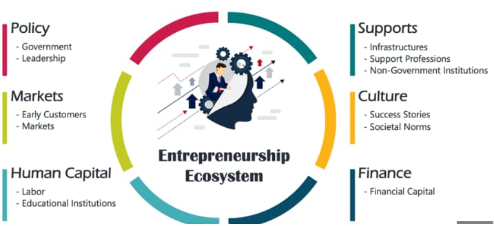 what is ecosystem components