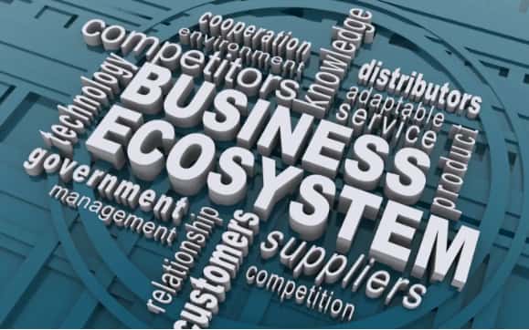 business ecosystem definition