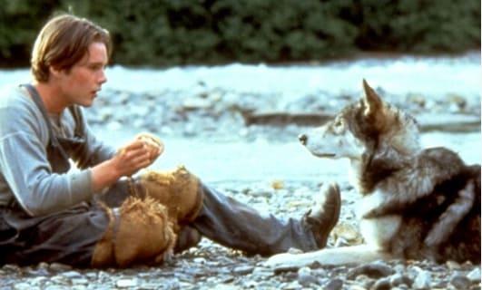 white fang characters
