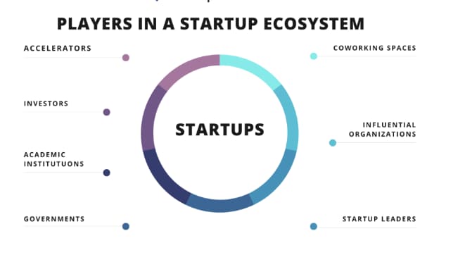 players at startup ecosystem