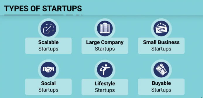 startup examples types
