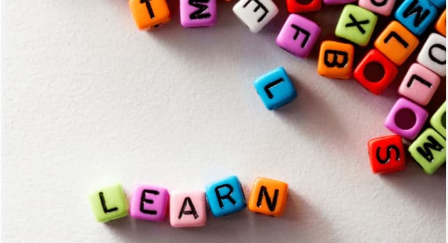 study languages