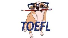 TOEFL Essay Writing Tips! Impossible to Get 30 Full Points?