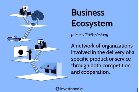 what is a business ecosystem