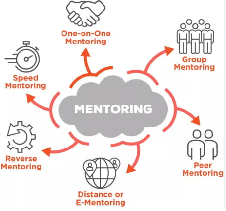 mentoring details