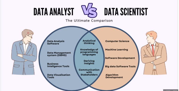how much data analysts earn